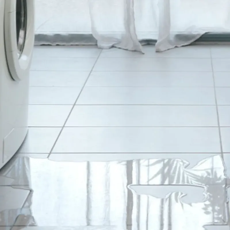Appliance Leak Cleanup in Colorado Springs, CO