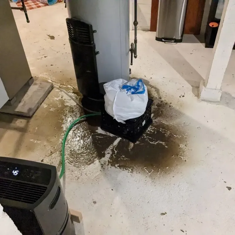 Sewage Backup Cleanup Service in Colorado Springs, CO